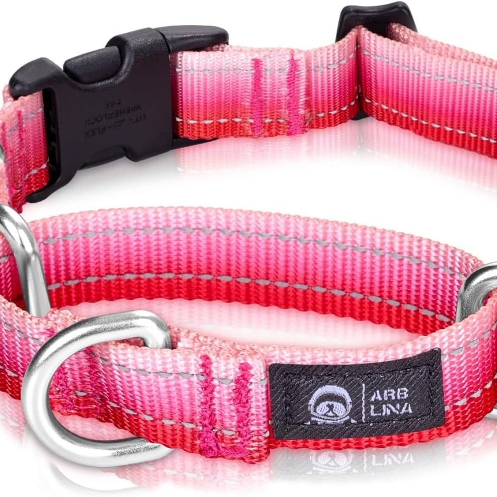 Martingale Dog Collar Light-Reflective Polyester Collars for Dogs Whippets, Grey